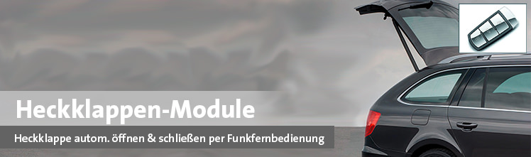 Heckklappen-Module