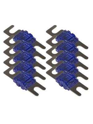 Stinger SELECT SSMIDI60B 60A Mini ANL Sicherung, 10 Stück