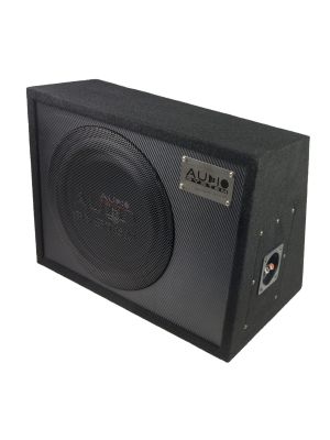 AUDIO SYSTEM R 10 FLAT G ACTIVE EVO 25cm 200W DIY Aktivsystem Subwooferbox